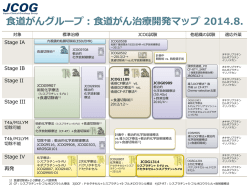 食道がんグループ：食道がん治療開発マップ 2014.8.