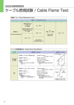 ケーブル燃焼試験 / Cable Flame Test