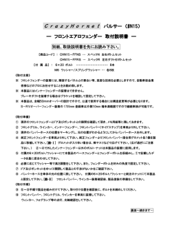 CrazyHornet パルサー （#N15）