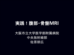 2013年度「MRIセミナー2」講義概要