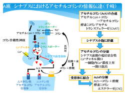 宿題の解答 ダウンロードはこちら