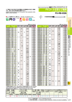 FX-RB-EGS FXコート2刃リブ溝用