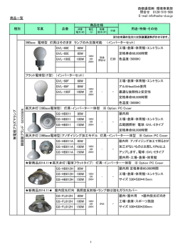 LVD Catalog - 次世代のECO照明 無電球ランプ(LVD)