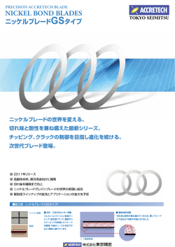ニッケルブレード GSタイプ カタログデータ（536.7KB）