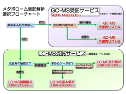 PowerPoint プレゼンテーション