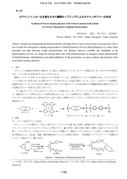N-25 - 日本大学理工学部