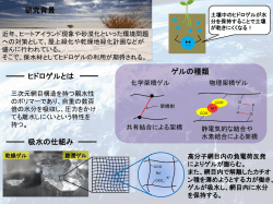 相互侵入網目骨格から成る吸水性ポリマーの調製とその保水材としての