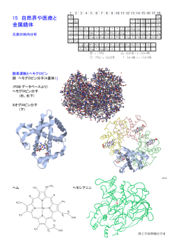 15 自然界や医療と 金属錯体