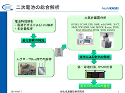 Liイオン電池総合解析サービス