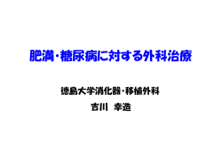 MCD + HF modelにおける Rubino手術のNASH予防効果の 検討