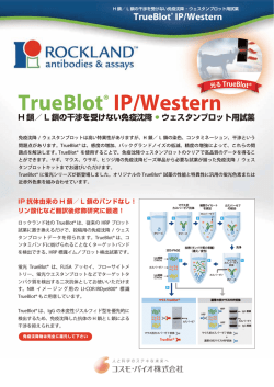 TrueBlot&reg; IP/Western