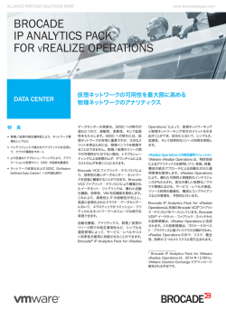 Brocade IP Analytics Pack for vRealize Operations：仮想ネットワーク