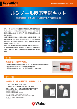 リーフレットPDFファイル