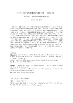 シナプスにおける局所的翻訳と可塑性の制御 ―CPEB と FMRP