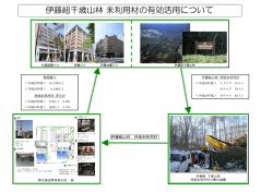 伊藤組千歳山林 未利用材の有効活用について