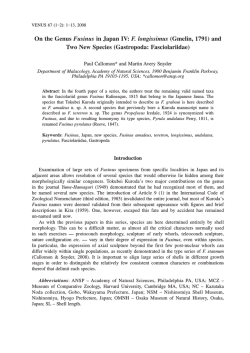 On the Genus Fusinus in Japan IV: F. longissimus