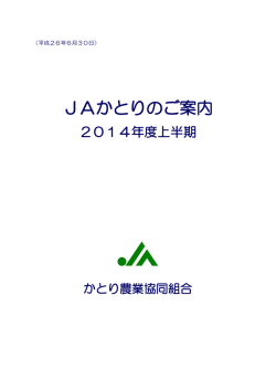 平成26年度上半期のディスクロージャーのPDFファイルを