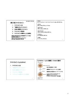 第20回講義プリント