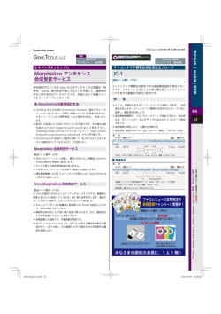 &minus; Morpholino アンチセンス 合成受託サービス JC-1