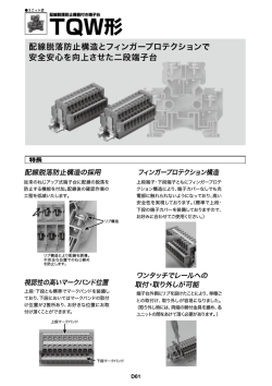 詳細資料を見る(0.8MB)