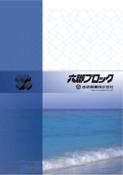 六脚ブロックパンフレット