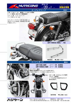 Web版（PDF形式）