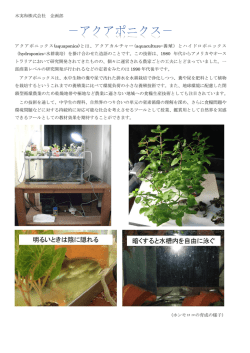 アクアポニクス教材