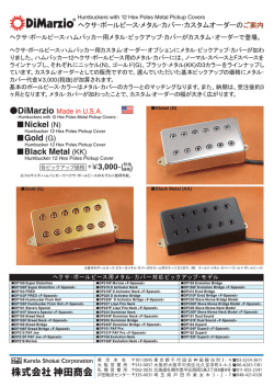 Nickel (N) Gold (G) Black Metal (KK)