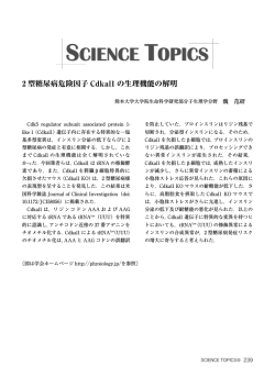 2 型糖尿病危険因子 Cdkal1 の生理機能の解明