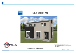 SEZ-3050-KN