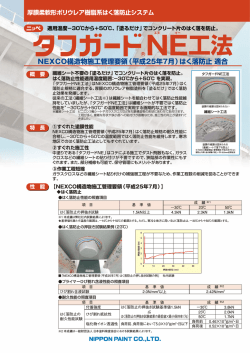 NE工法 - 日本ペイント