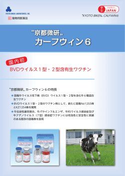 カーフウィン 6