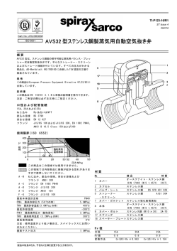 AVS32 型ステンレス鋼製蒸気用自動空気抜き弁