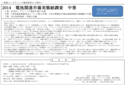 2014 電池関連市場実態総調査 中巻