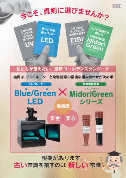 PDF ダウンロード (1920KB)