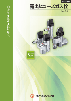 露出ヒューズガス栓