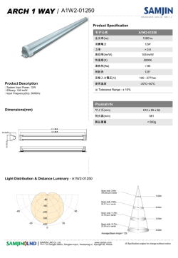 ARCH 1 WAY / A1W2-01250