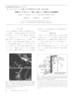 乳腺センチネルリンパ節と上肢リンパ管系との交通関係