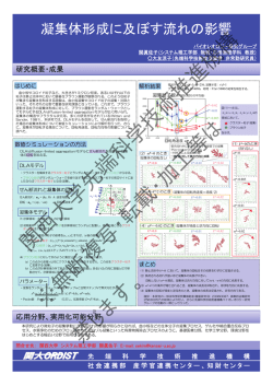 凝集体形成に及ぼす流れの影響