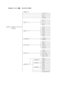 株式会社メディセオ 組織図 （2015年1月1日現在）