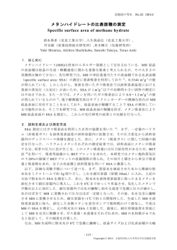 メタンハイドレートの比表面積の測定 Specific surface