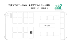 三菱エアロエースMM 中型ダブルサロン（6号）