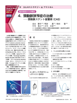 4． 頸動脈狭窄症の治療