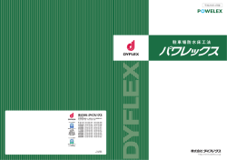 パワレックス - ダイフレックス