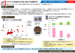 ホタテの流通安全対策に関する試験研究