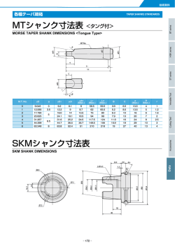 MTシャンク寸法表 ＜タング付