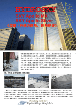 SKY Apollo MX SKY Apollo Silver