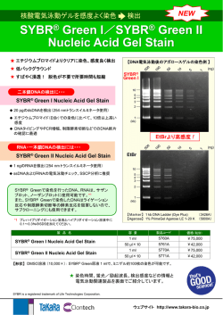SYBR&reg;GreenII Nucleic Acid Gel Stain