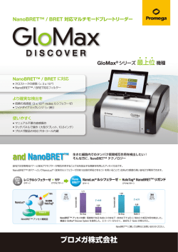 チラシ - プロメガ