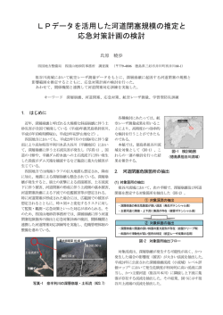 LPデータを活用した河道閉塞規模の推定と 応急対策計画の検討